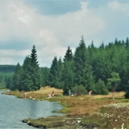 Alpstuga Horsky Dum
